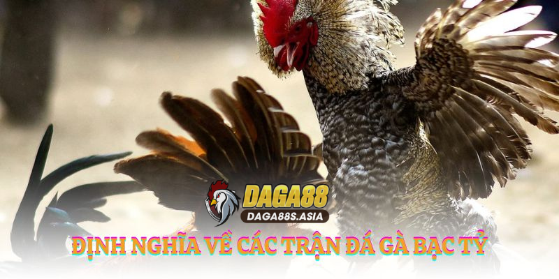 Định nghĩa về các trận đá gà bạc tỷ