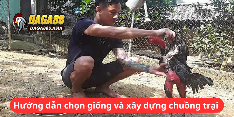 Hướng dẫn chọn giống và xây dựng chuồng trại 