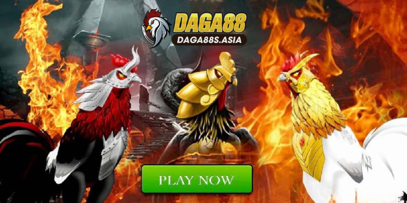 hệ thống sảnh game đa dạng