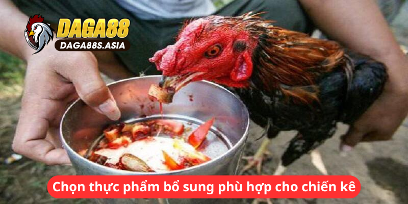 Chọn thực phẩm bổ sung phù hợp cho chiến kê