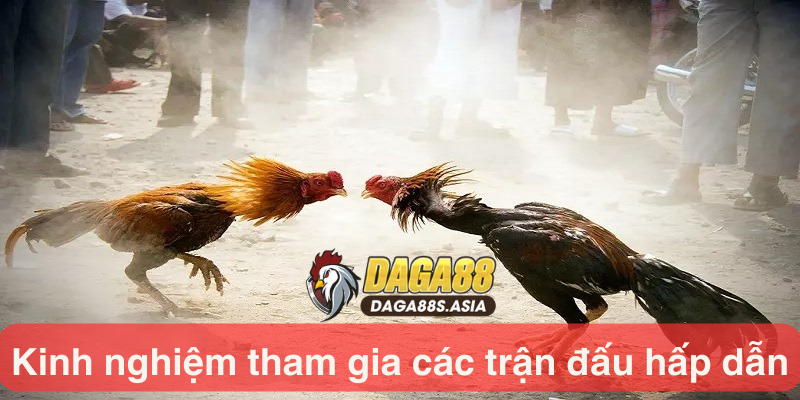 Kinh nghiệm tham gia các trận đấu hấp dẫn