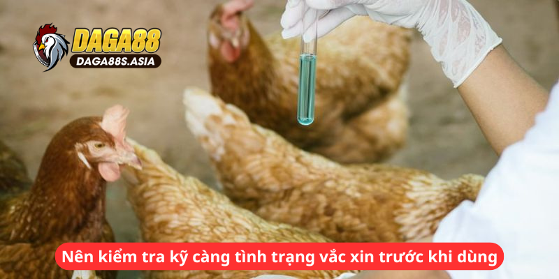 Nên kiểm tra kỹ càng tình trạng vắc xin trước khi dùng